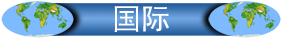 JETSEAL 国际销售代表